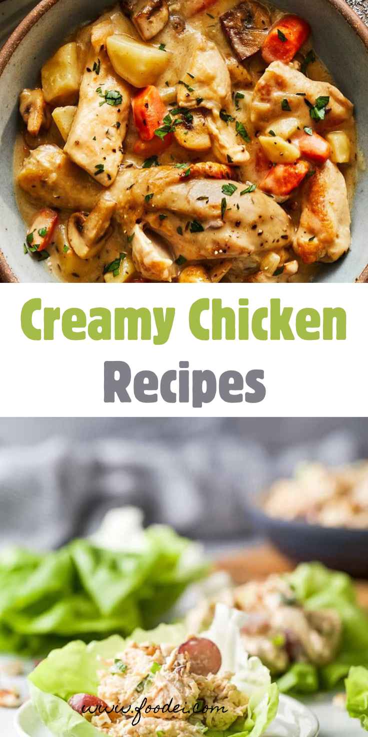 Creamy Chicken Recipes