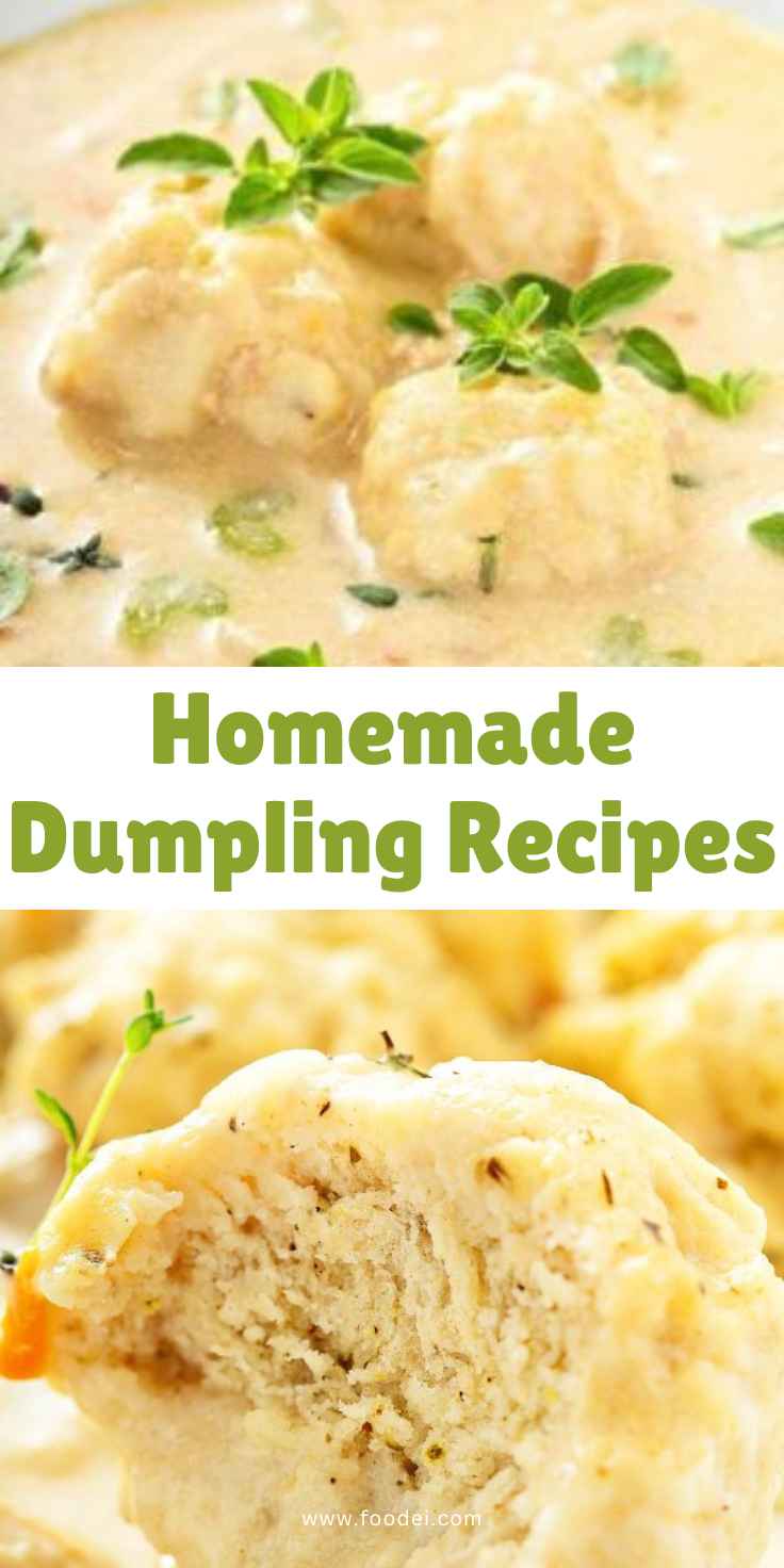 Homemade Dumpling Recipes