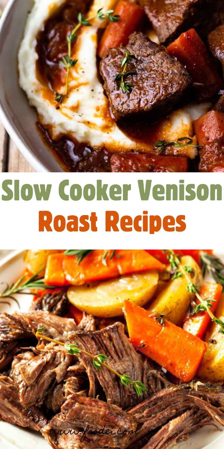 Slow Cooker Venison Roast Recipes