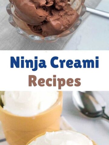 Ninja Creami Recipes