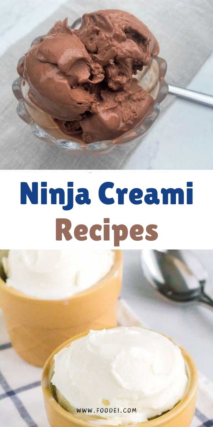 Ninja Creami Recipes