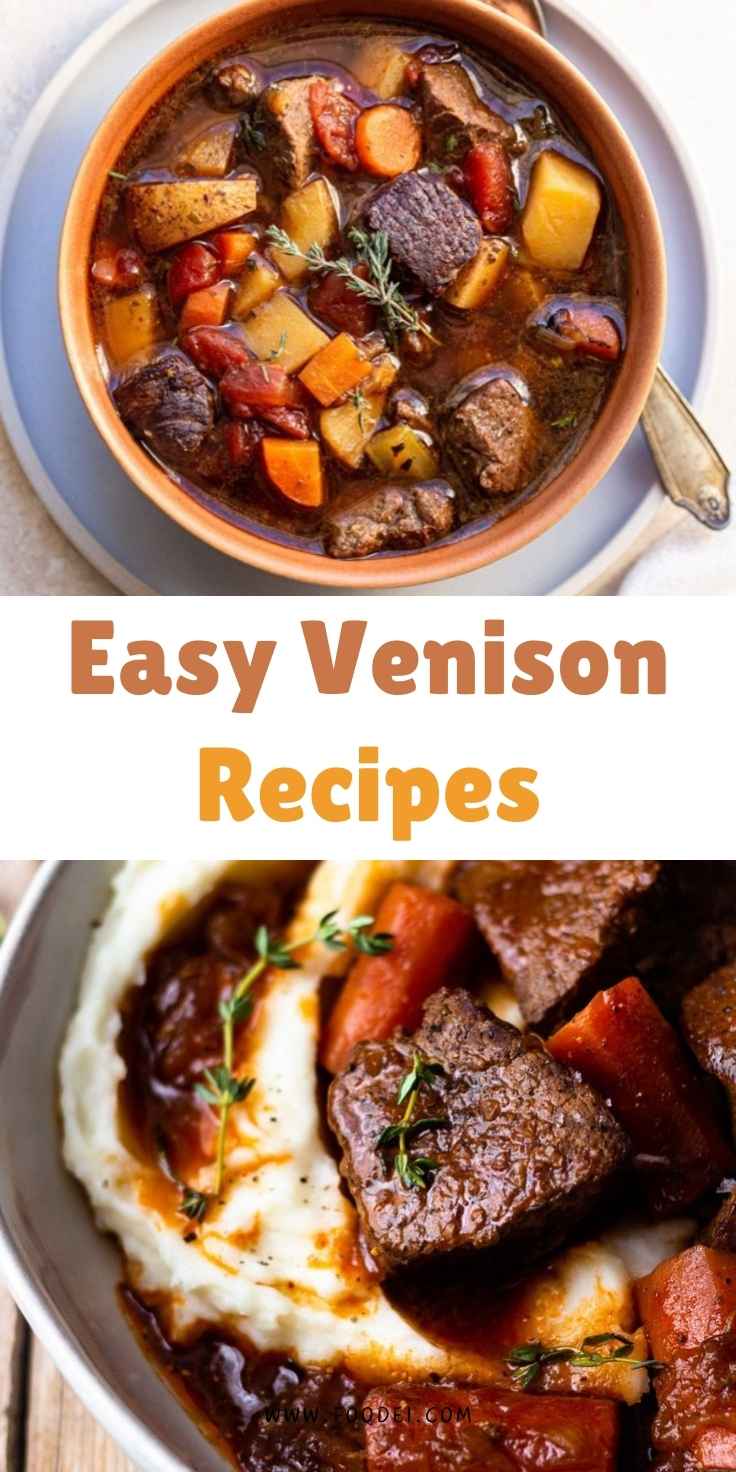 Easy Venison Recipes