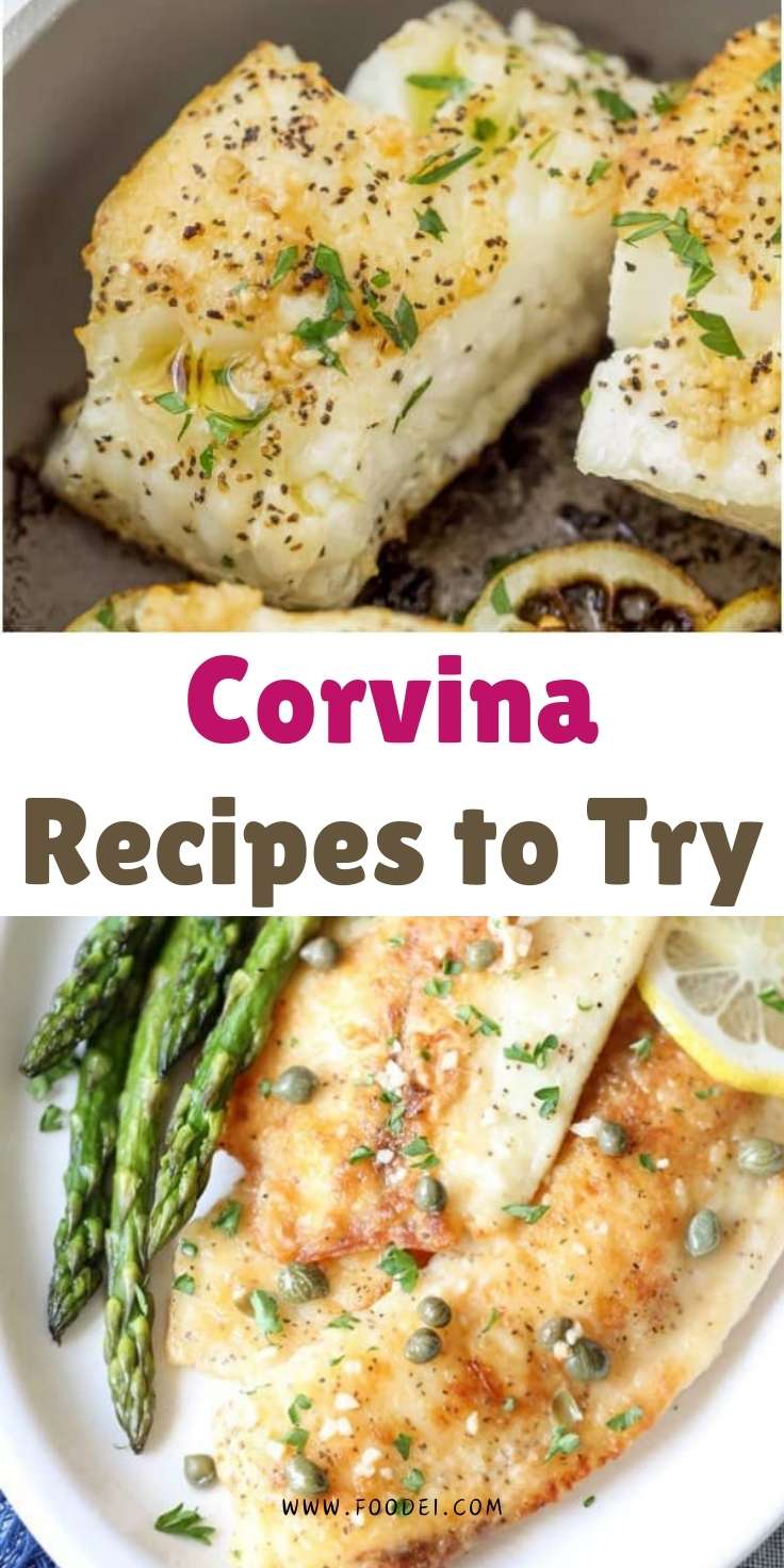 Corvina Recipes to Try