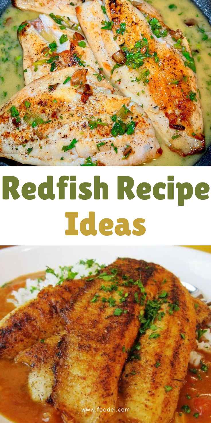 Redfish Recipe Ideas