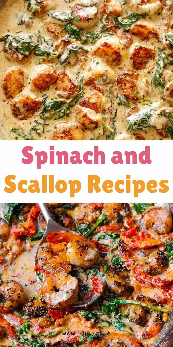 Spinach and Scallop Recipes