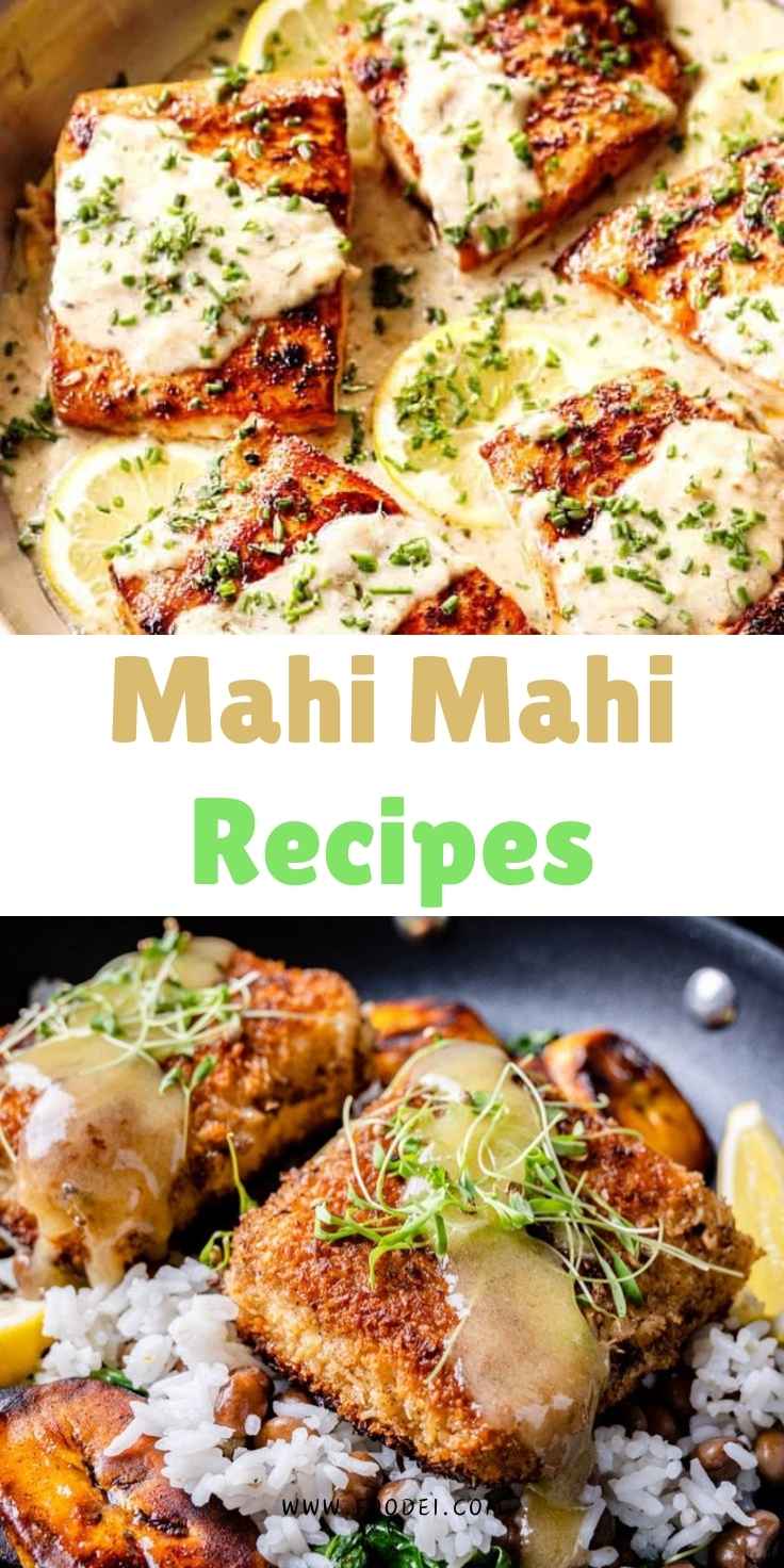 Mahi Mahi Recipes