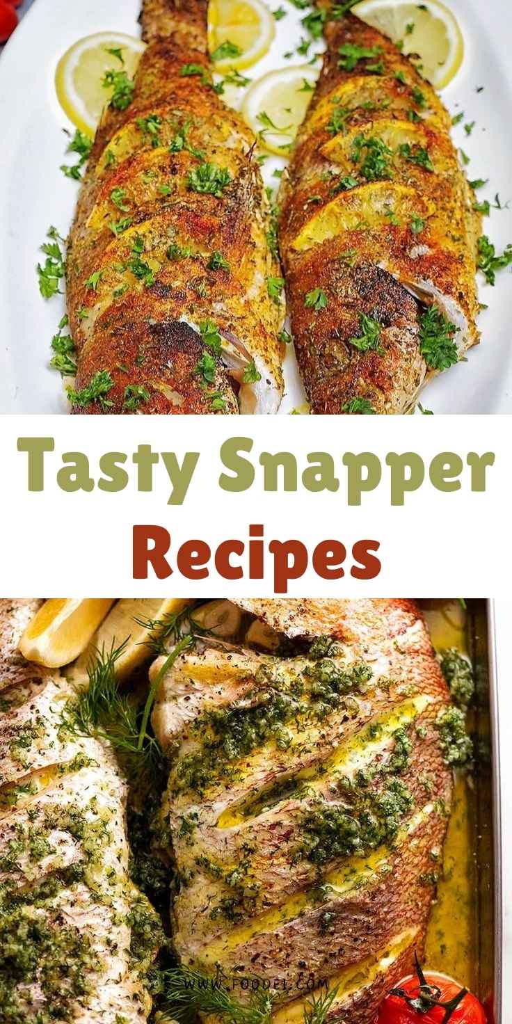 Tasty Snapper Recipes