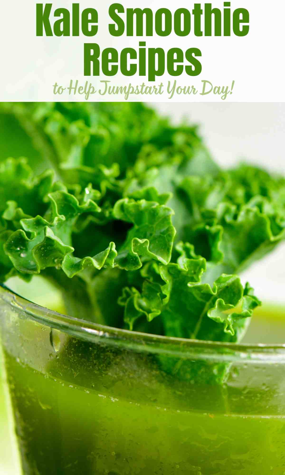 Kale Smoothie Recipes