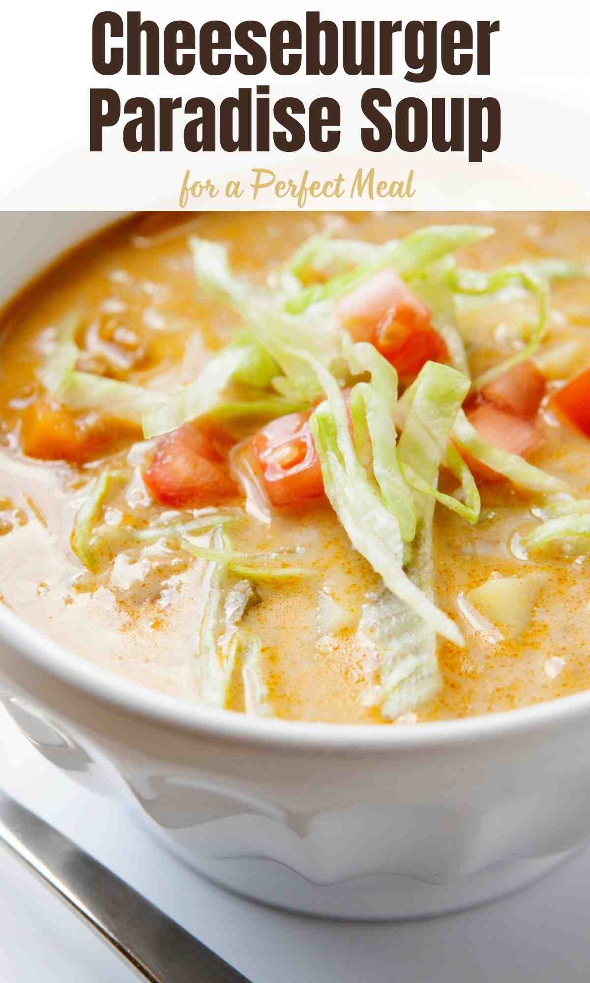 Cheeseburger Paradise Soup Recipes