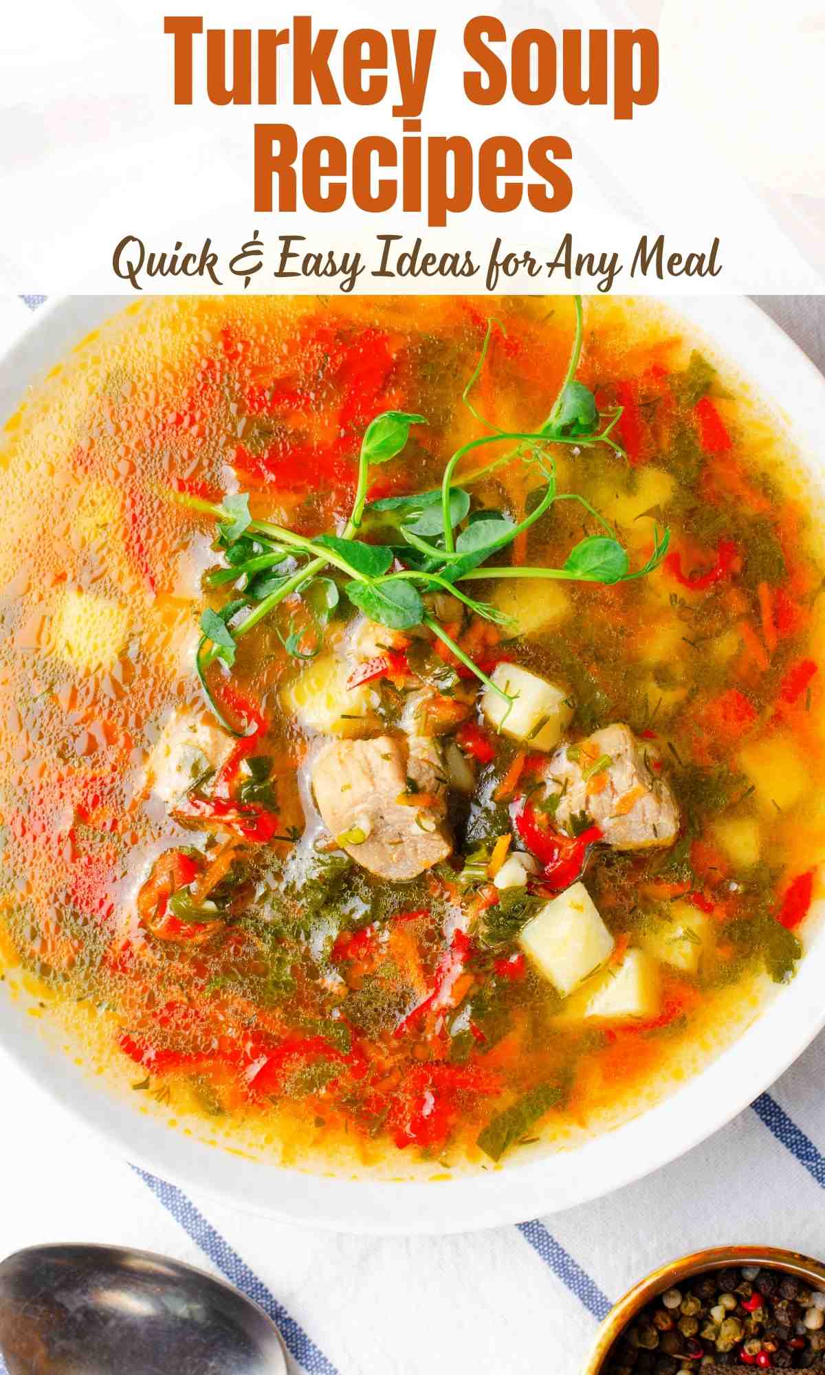 Turkey Soup Recipes