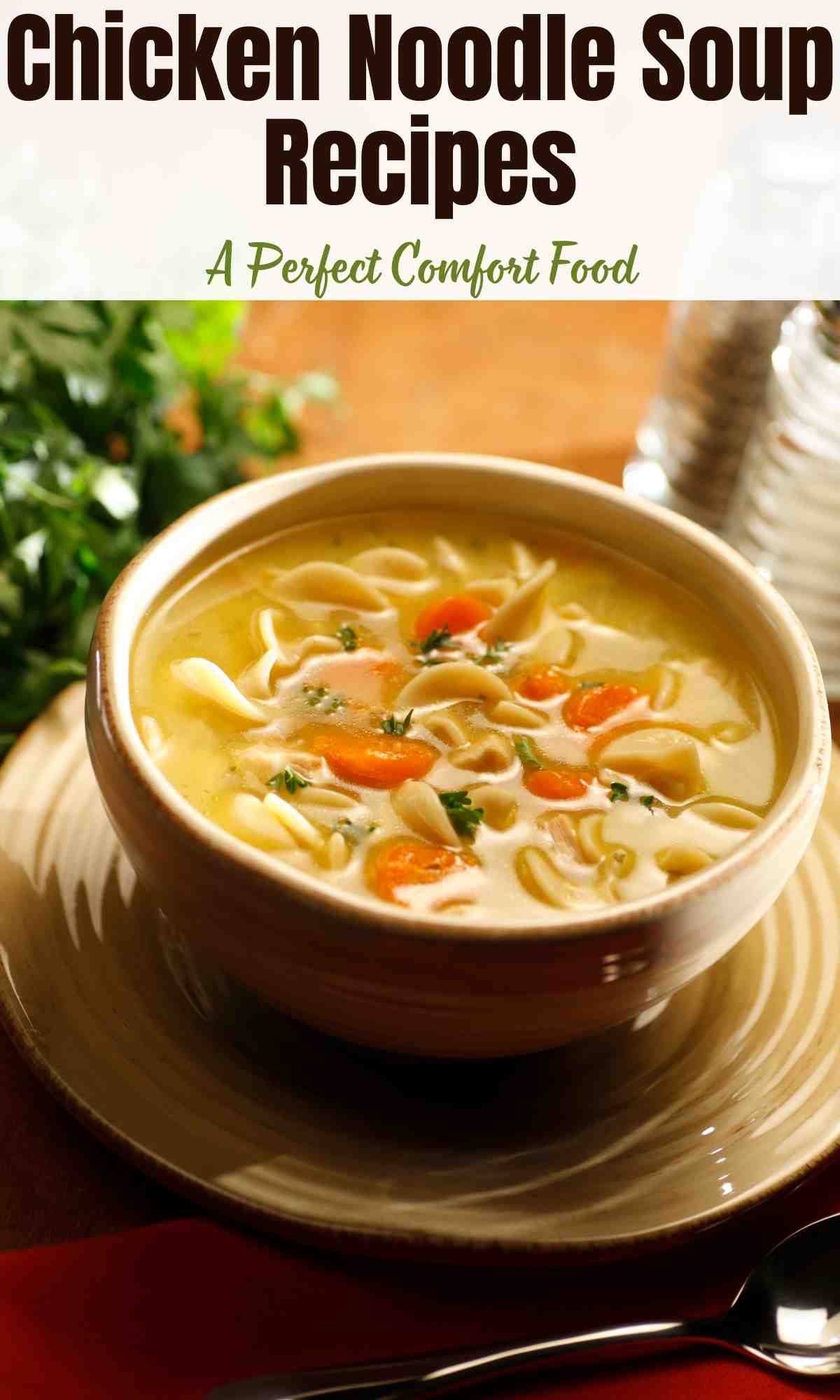 Chicken Noodle Soup Recipes