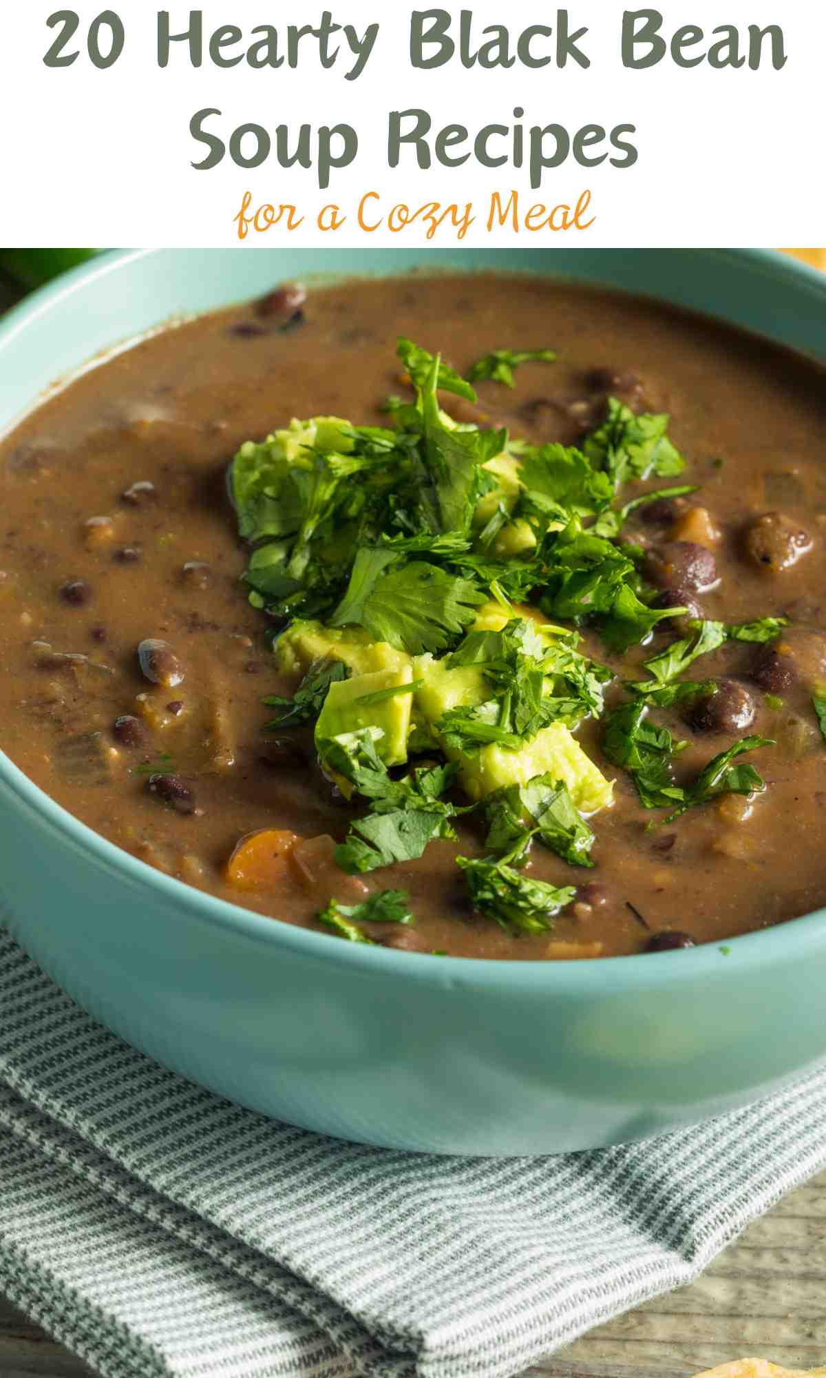 Hearty Black Bean Soup Recipes