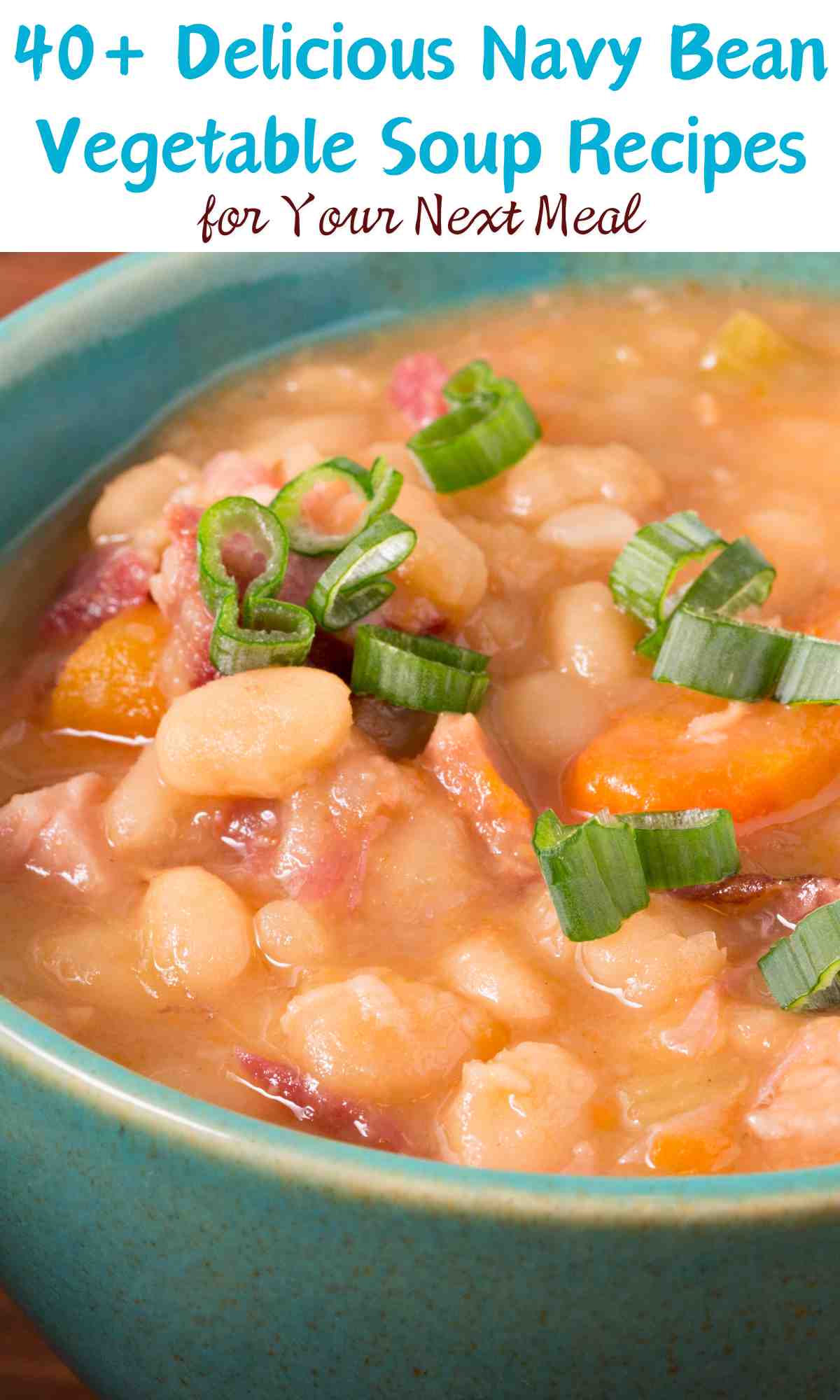 Navy Bean Vegetable Soup Recipes